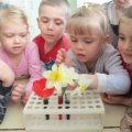 Исследовательская деятельность Экспериментирование