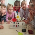 Опытно экспериментальная деятельность Темочки расщепить стебель
