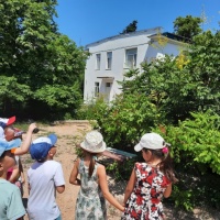 Конспект наблюдения за цветущей кёльрейтерией — мыльным деревом на прогулке летом с детьми средней группы