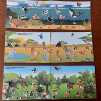 Дидактическая игра «Какие животные населяют леса, жаркие страны, моря и океаны» для детей старшей группы