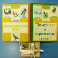 Дидактическая игра «Зимующие и перелетные птицы»