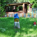 Летние идеи оформления участка