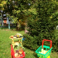 Праздник урожая в детском саду для старшей группы. Смотреть фото Праздник урожая в детском саду для старшей группы. Смотреть картинку Праздник урожая в детском саду для старшей группы. Картинка про Праздник урожая в детском саду для старшей группы. Фото Праздник урожая в детском саду для старшей группы Праздник урожая в детском саду для старшей группы. Смотреть фото Праздник урожая в детском саду для старшей группы. Смотреть картинку Праздник урожая в детском саду для старшей группы. Картинка про Праздник урожая в детском саду для старшей группы. Фото Праздник урожая в детском саду для старшей группы