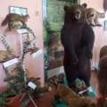 Экскурсия в музей природы