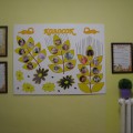 какие зоны должны быть в подготовительной группе по фгос. Смотреть фото какие зоны должны быть в подготовительной группе по фгос. Смотреть картинку какие зоны должны быть в подготовительной группе по фгос. Картинка про какие зоны должны быть в подготовительной группе по фгос. Фото какие зоны должны быть в подготовительной группе по фгос