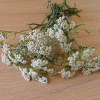 Мастер класс Летний букет своими руками из