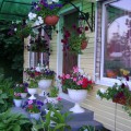 Действительно самое сложное вырастить рассаду