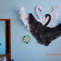 Шею и голову черного лебедя покрасили черной гуашью