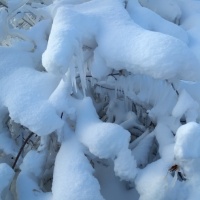 Конспект познавательной прогулки «Наблюдение за снегом»