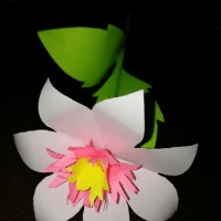 Мастер-класс по изготовлению поделки «Волшебный цветок» из цветной двусторонней бумаги