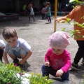 Краткосрочный проект для детей 2–3 лет «Цветочная поляна»