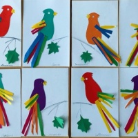 Аппликация из цветной бумаги «Попугай» с детьми средней группы