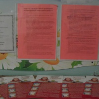 Рисунок на тему полезные и не полезные продукты