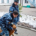 НОД с использованием интерактивного оборудования и нетрадиционных техник рисования «Собака со щенком» для детей 2–3 лет.