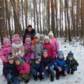 Конспект экскурсии в зимний лес