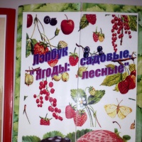 Рисунок на тему полезные и не полезные продукты