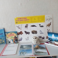 Проект «Животные Севера: какие они?» для воспитанников старшей специальной группы 5–6 лет