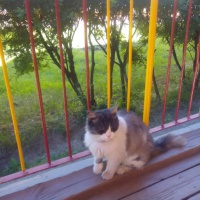 � �������� � ������������ ������������������ �������� ��������� �
