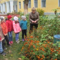 Конспект осенней прогулки