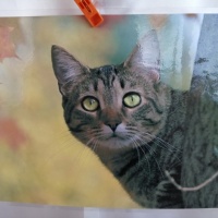 как украсить стену к осени в детском саду. Смотреть фото как украсить стену к осени в детском саду. Смотреть картинку как украсить стену к осени в детском саду. Картинка про как украсить стену к осени в детском саду. Фото как украсить стену к осени в детском саду как украсить стену к осени в детском саду. Смотреть фото как украсить стену к осени в детском саду. Смотреть картинку как украсить стену к осени в детском саду. Картинка про как украсить стену к осени в детском саду. Фото как украсить стену к осени в детском саду