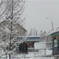 Как играть в боулинг детям. detsad 432237 1456323141. Как играть в боулинг детям фото. Как играть в боулинг детям-detsad 432237 1456323141. картинка Как играть в боулинг детям. картинка detsad 432237 1456323141