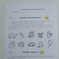 Диагностика проводится в четыре этапа организационный мотивационный практический и рефлексивный