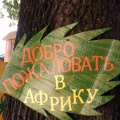 Оформление участка группы к лету