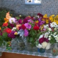 Фотоотчёт о выставке-распродаже цветов «Осенняя фантазия» и ярмарке «Дары осени»
