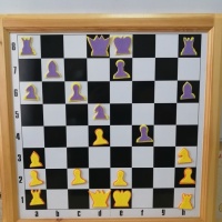 Проект «Сказочный мир шахмат»