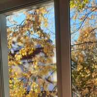 detsad 559146 1634062037 ΠΠ°ΠΊ ΠΊΡΠ°ΡΠΈΠ²ΠΎ ΡΠΊΡΠ°ΡΠΈΡΡ ΠΎΠΊΠ½Π° ΠΎΡΠ΅Π½ΡΡ