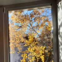 detsad 559146 1634062065 ΠΠ°ΠΊ ΠΊΡΠ°ΡΠΈΠ²ΠΎ ΡΠΊΡΠ°ΡΠΈΡΡ ΠΎΠΊΠ½Π° ΠΎΡΠ΅Π½ΡΡ