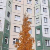 detsad 559146 1634062176 ΠΠ°ΠΊ ΠΊΡΠ°ΡΠΈΠ²ΠΎ ΡΠΊΡΠ°ΡΠΈΡΡ ΠΎΠΊΠ½Π° ΠΎΡΠ΅Π½ΡΡ