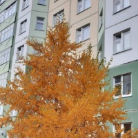 detsad 559146 1634062209 ΠΠ°ΠΊ ΠΊΡΠ°ΡΠΈΠ²ΠΎ ΡΠΊΡΠ°ΡΠΈΡΡ ΠΎΠΊΠ½Π° ΠΎΡΠ΅Π½ΡΡ