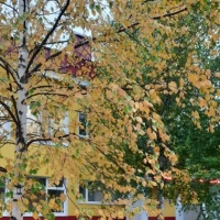 detsad 559146 1634062368 ΠΠ°ΠΊ ΠΊΡΠ°ΡΠΈΠ²ΠΎ ΡΠΊΡΠ°ΡΠΈΡΡ ΠΎΠΊΠ½Π° ΠΎΡΠ΅Π½ΡΡ