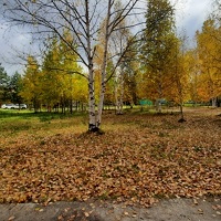 detsad 559146 1634062406 ΠΠ°ΠΊ ΠΊΡΠ°ΡΠΈΠ²ΠΎ ΡΠΊΡΠ°ΡΠΈΡΡ ΠΎΠΊΠ½Π° ΠΎΡΠ΅Π½ΡΡ