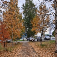 detsad 559146 1634063492 ΠΠ°ΠΊ ΠΊΡΠ°ΡΠΈΠ²ΠΎ ΡΠΊΡΠ°ΡΠΈΡΡ ΠΎΠΊΠ½Π° ΠΎΡΠ΅Π½ΡΡ