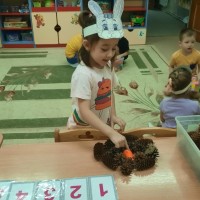 в саду проходил проект. интеллектуальные игры для детей. проект для детей дошкольного возраста. огород в детском саду на участке. презентация летний лагерь.