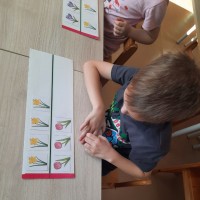 ����� � ����� ���������� �����