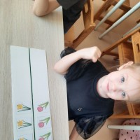 ���������� ���� �����