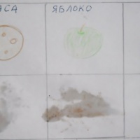 Коллаж полезные и вредные продукты для