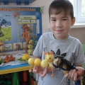 Объявление о конкурсе