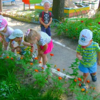 Интерес к природе как средство экологического воспитания дошкольников