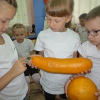 Фотоотчёт об интегрированной НОД по ФЦКМ в подготовительной к школе группе «Фрукты и овощи. Сбор урожая в Оренбуржье»