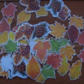 Дидактические игры для детей старшего дошкольного возраста, по ознакомлению с окружающим миром «Осенние листья»