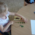 Реализация педагогического проекта «Одуванчик» с детьми старшего дошкольного возраста в летний период