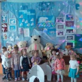 Фотоотчет о мини-проекте «День полярного медведя»