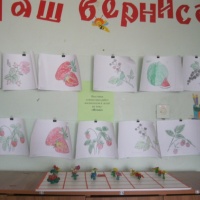 Проектная деятельность по познавательному развитию в старшей группе «Разноцветное лето»