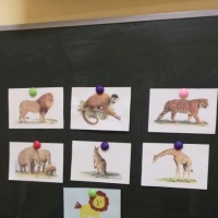Конспект познавательно-игрового занятия для средней группы «Веселый зоопарк»
