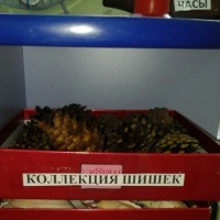 Уголок экспериментирования в средней группе по фгос что должно быть. Смотреть фото Уголок экспериментирования в средней группе по фгос что должно быть. Смотреть картинку Уголок экспериментирования в средней группе по фгос что должно быть. Картинка про Уголок экспериментирования в средней группе по фгос что должно быть. Фото Уголок экспериментирования в средней группе по фгос что должно быть