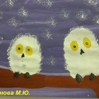 Конспект занятия по нетрадиционному рисованию «Снежные совушки» с детьми среднего дошкольного возраста